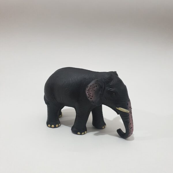 Elephant Tusker