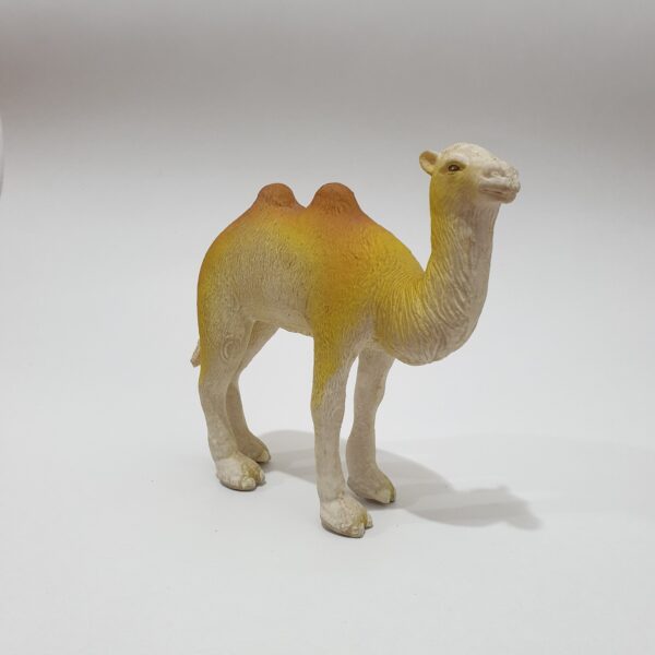 Camel