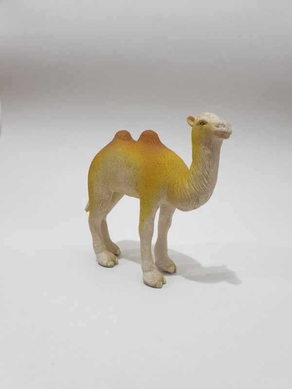 Camel