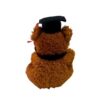 Graduation Bear