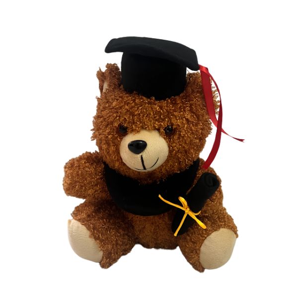 graduation bear front Graduation Bear