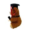 Graduation Bear