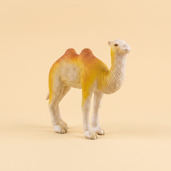 Camel