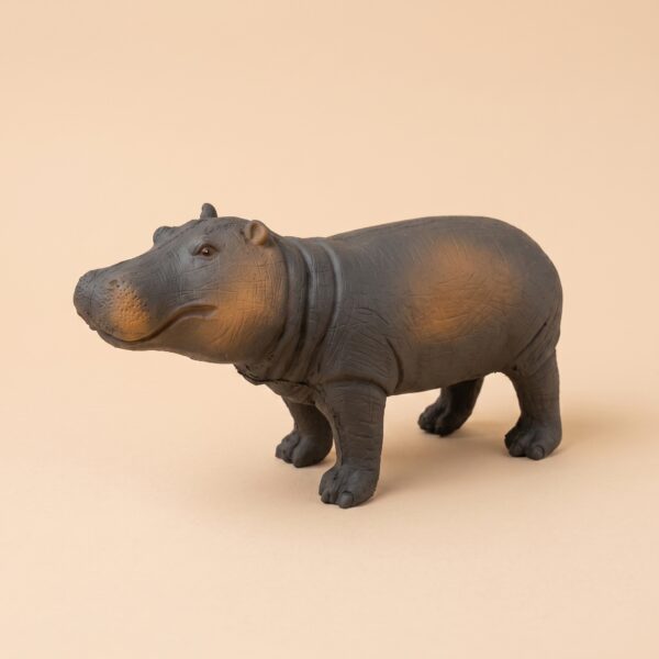 Hippo