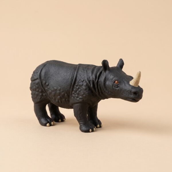 Rhino