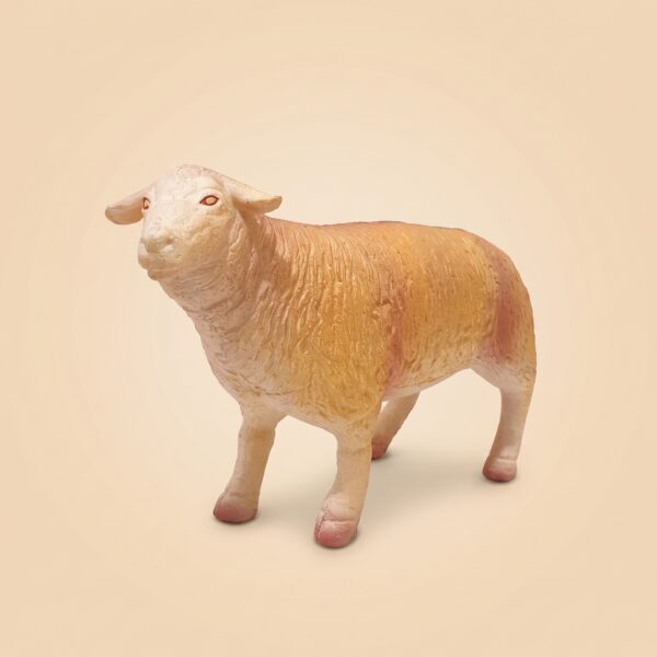 tt-rubber-89303-sheep-20260803-144858 Sheep